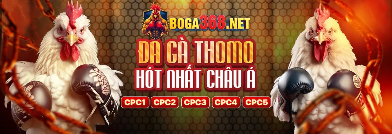 Đá Gà Trực Tuyến 88kim