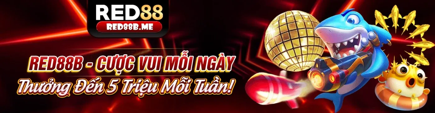 Hình ảnh giới thiệu 88kim - Nền tảng cá cược trực tuyến hàng đầu